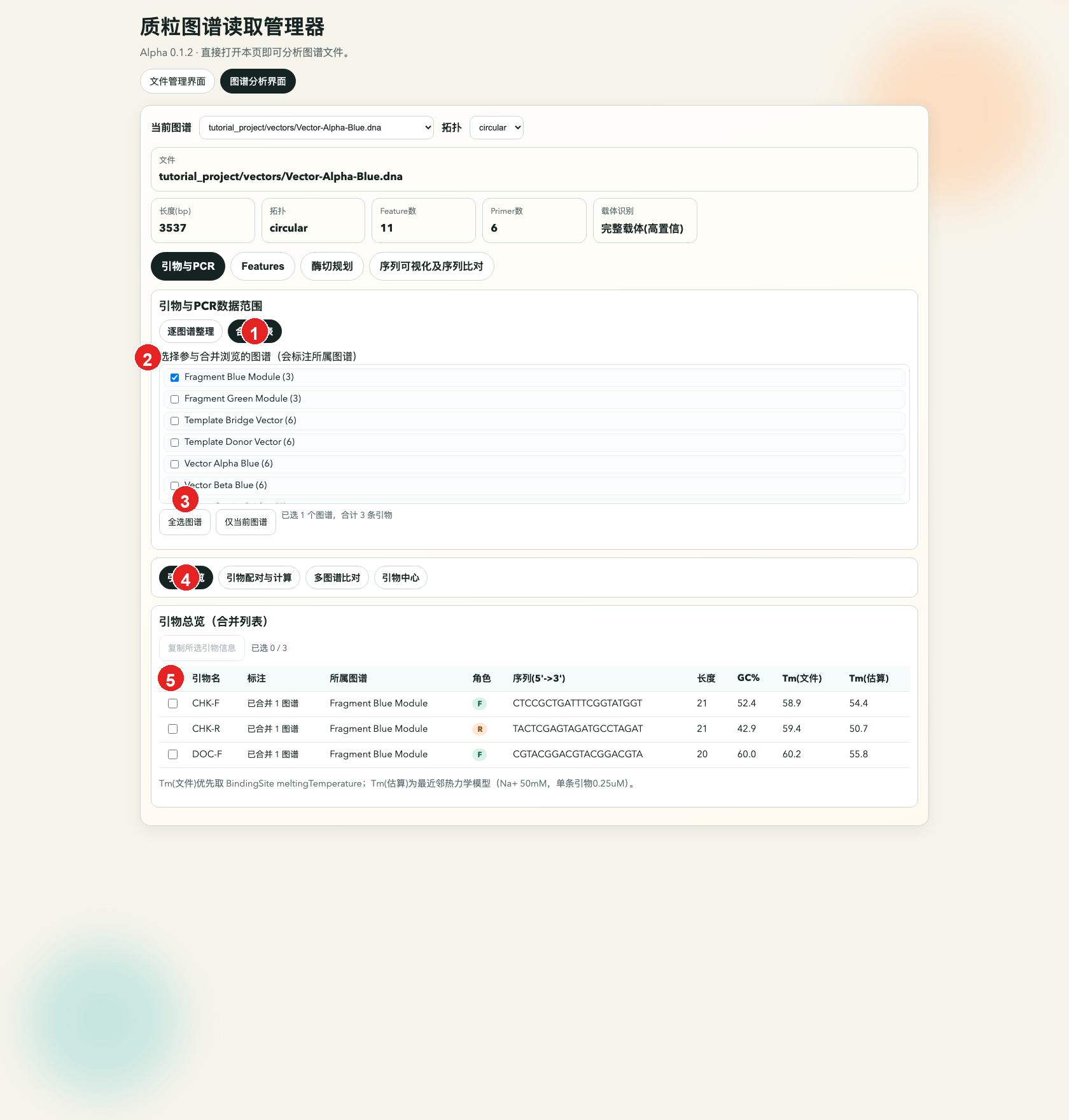 引物合并列表示意