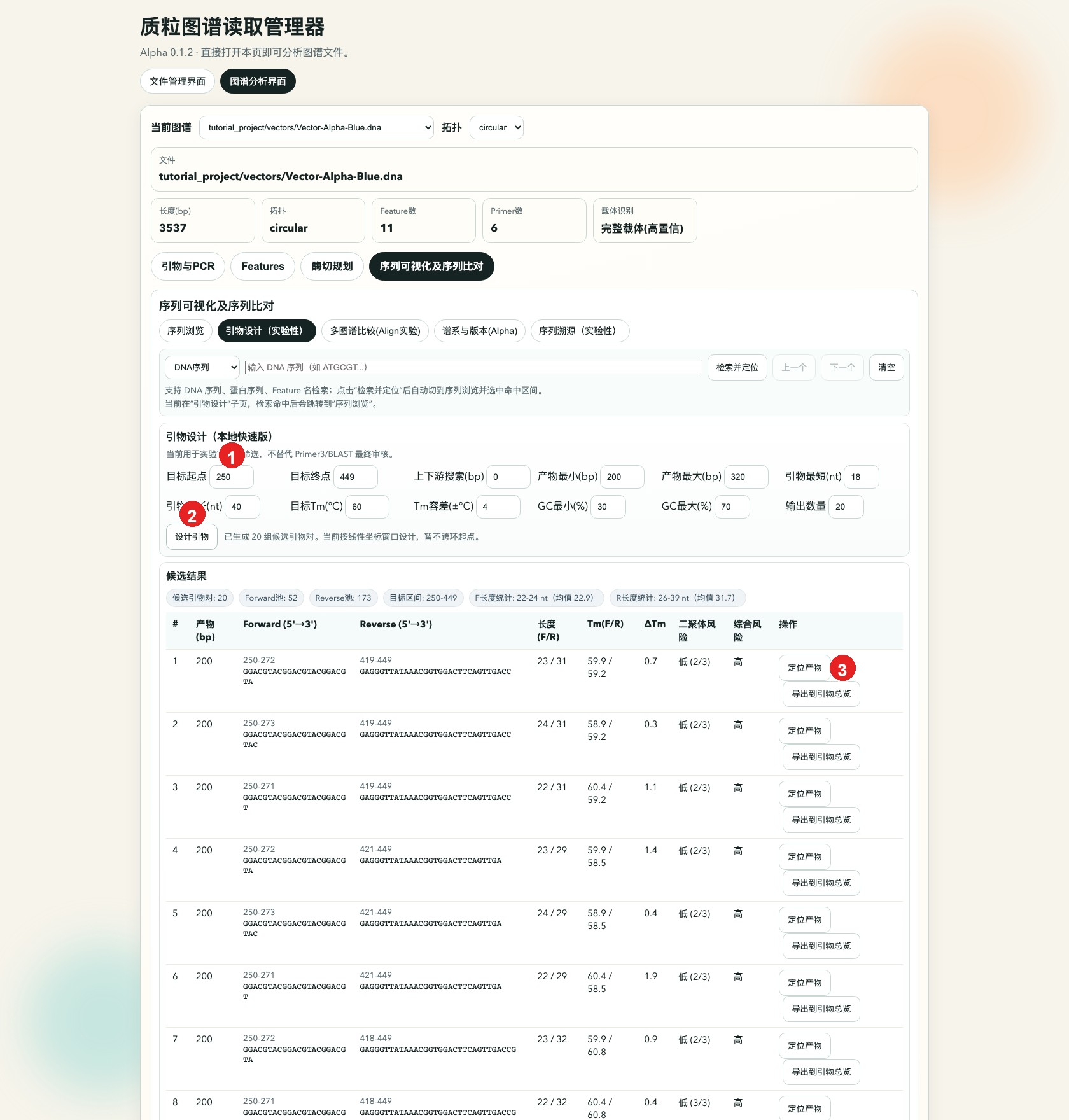 标准引物设计示意